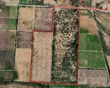 Finca en Venta en Jocolí 44ha