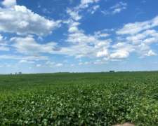 252 Hectareas 200 Agricolas con Escritura Agua LUZ Alambrad