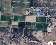 Vendo 27 HEC para Pistacho en San Juan .