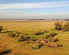 Cañuelas, Buenos Aires - 248 Ha