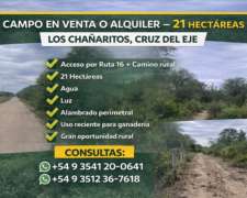 Campo en Alquiler – los Chañaritos, Cruz del Eje