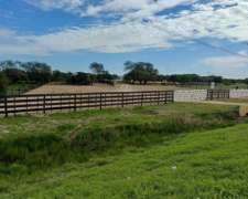 Ceibas, Gualeguaychú, Entre Ríos - 1.000 Ha