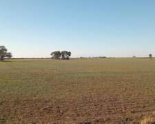 381 Ha en Venta Norte de Córdoba