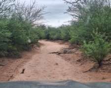 La Rioja 3700 Has Ganaderas