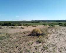 Vende Campo 150 Ha Zona Fraga San Luis