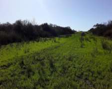 145 Hectareas Campo Mixto