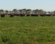 San Salvador, 721 Ha Agricolas Recrea e Invernada