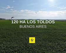 120 Ha los Toldos