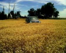 Se Venden 1000 Has Agricolas Exc. Sudoeste de Prov de BS AS