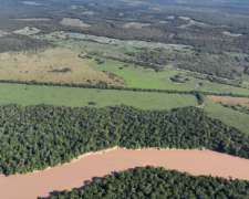 1.800ha Agricolaganaderas en General San Martin, Chaco