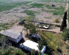 Finca En La Pega 25ha Con Goteo