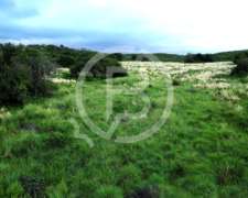 Venta Campo 12 HA, Falda del Carmen