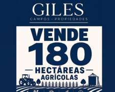 Campo de 180 Hectáreas Agrícolas San Pedro