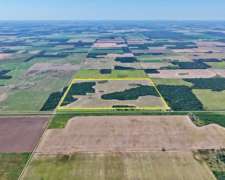 89 Has en Venta - Pcia del Chaco, las Breñas