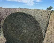 Vendo Rollos de Alfalfa