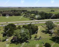 Chacra en Venta 45 Has Chascomus. S/ruta Ideal Silos/feedlot