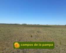La Pampa - Venta Campo 260 Ha Apto Agricultura - Ganaderia