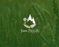220 Hectáreas Agrícolas En Venta Gualeguaychú