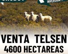 Venta Campo Telsen Chubut 4600 Hectáreas