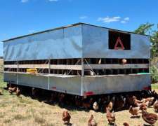 Gallinero Móvil 500 Gallinas