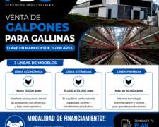 Galpones para Gallinas Llave en Mano