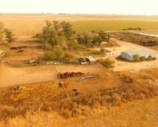 292 Has Mixtas. Pozo del Molle