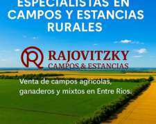 Tenemos el Campo QUE Esta Buscando