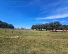 Campo Venta Casalins Pila 290 Ha