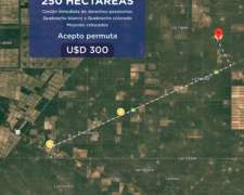 Vendo o Permuto Campo en Taco Pozo