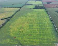 Cordoba Rafael Garcia 100 Has Agrícolas