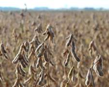 700 Has en Aerolito Todas Limpias Santiago del Estero
