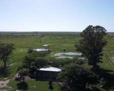 Venta / Campo Ganadero / Huanqueros / 1385 Ha