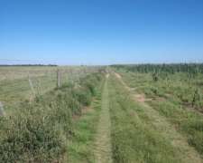 Vendo Campo - 800 Ha - Zona Buena Esperanza Sobre Autopista