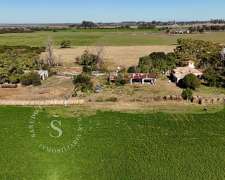 Campo Andino, Santa Fe. Ganadería. 360 Hectáreas.