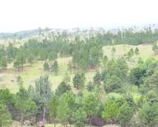 Cordoba Villa Alpina 240 Has