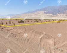 Campo en Venta 149 Has Fiambala, Catamarca