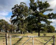 Venta Campo Sobre Ruta 41 San Miguel del Monte