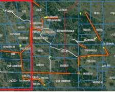 Arrendamiento o Pastaje 5.000 Ha Ganaderas Villa Berthet