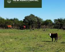 988 Ha Ganadero Ceibas Entre Rios