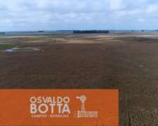 Campo Agrícola – 97 Has – Bolívar, Buenos Aires