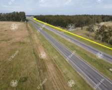 Campo en Venta 340 Has en Brandsen