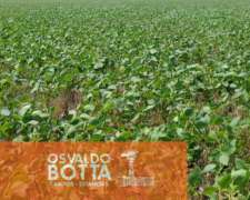 Campo Agrícola en Venta 160 Hectareas Coronel Dorrego