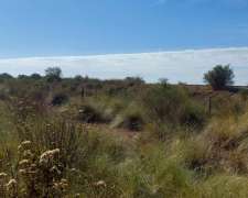 Muy Buen Campo en el Nochero