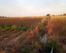 Campo con Riego y Escritura, Ubicado en la Carbonada, Córdob