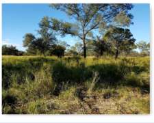 Campo en Santiago del Estero - la Banda - Clodomira
