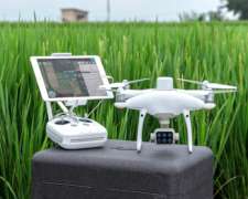 Dron DJI Monitoreo de Cultivo Phantom 4