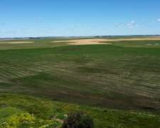 Campos en Venta Provincia Buenos Aires