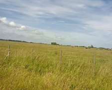 Navarro: Campo 330 Has