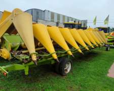 Allochis de 10 a 70 CM, año 2011 - Disponible