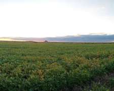 120 Ha en Don Cristobal. Campo Mixto